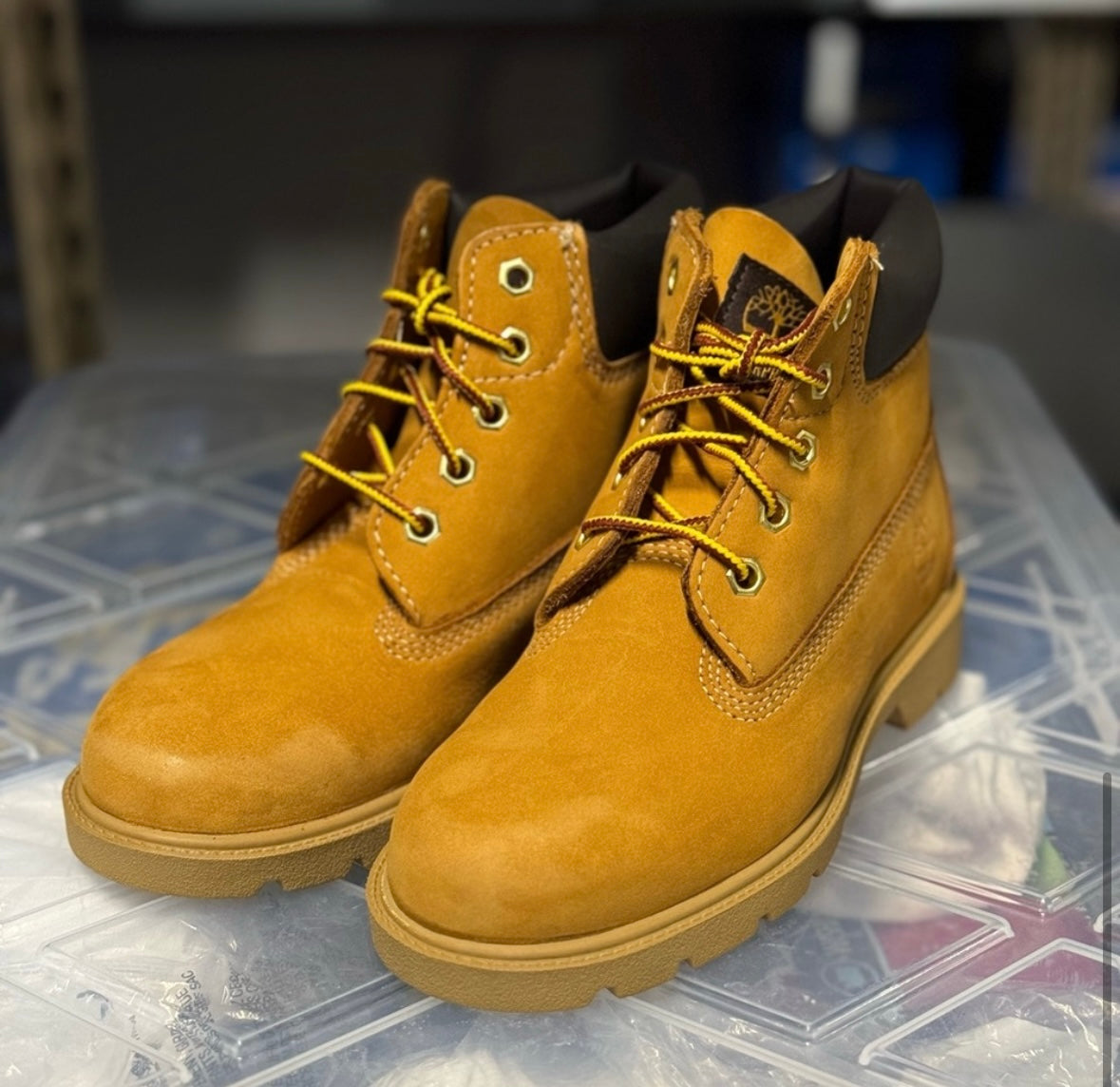 6in Classic Kids Wheat