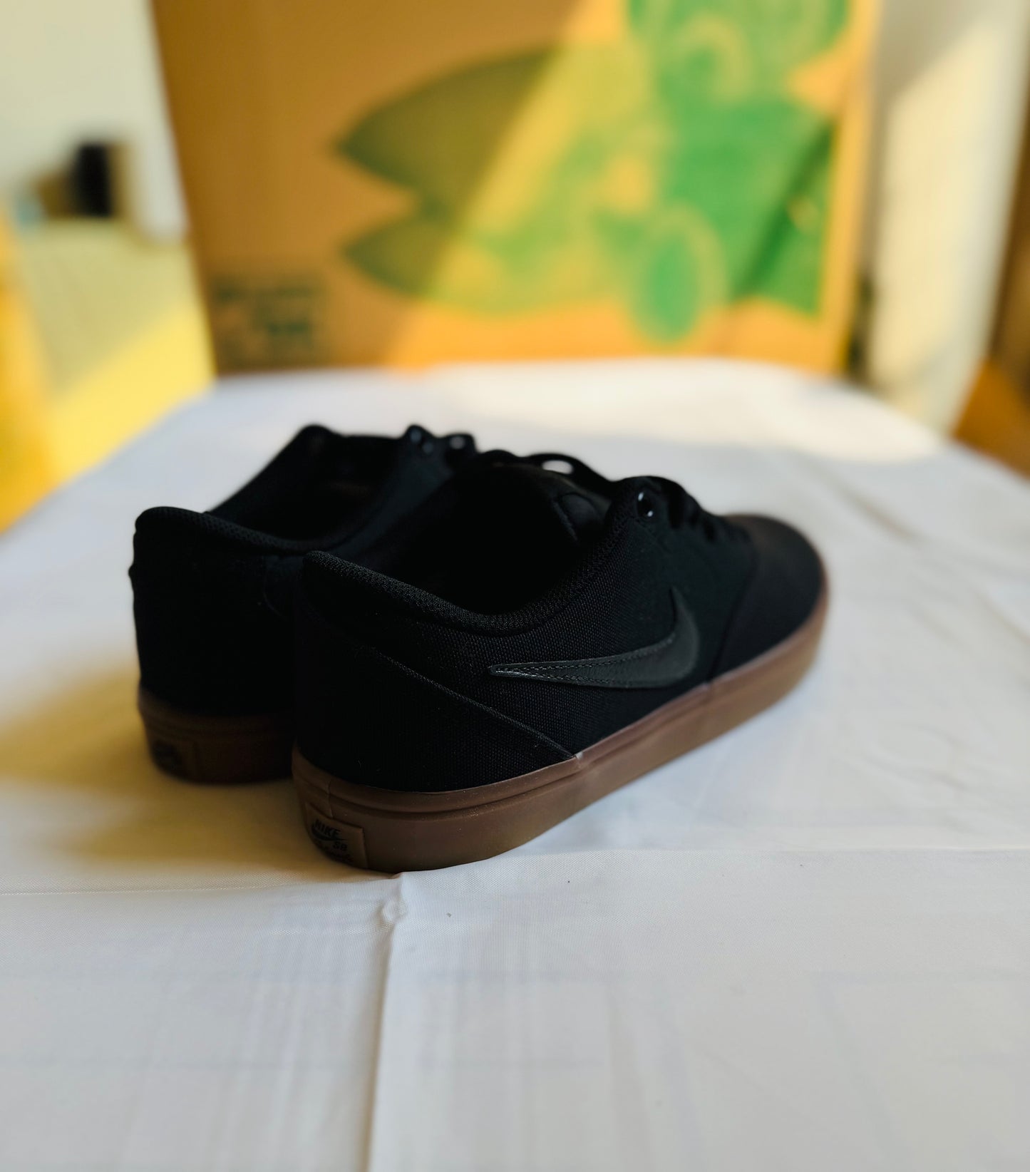 SB Check Solar Canvas