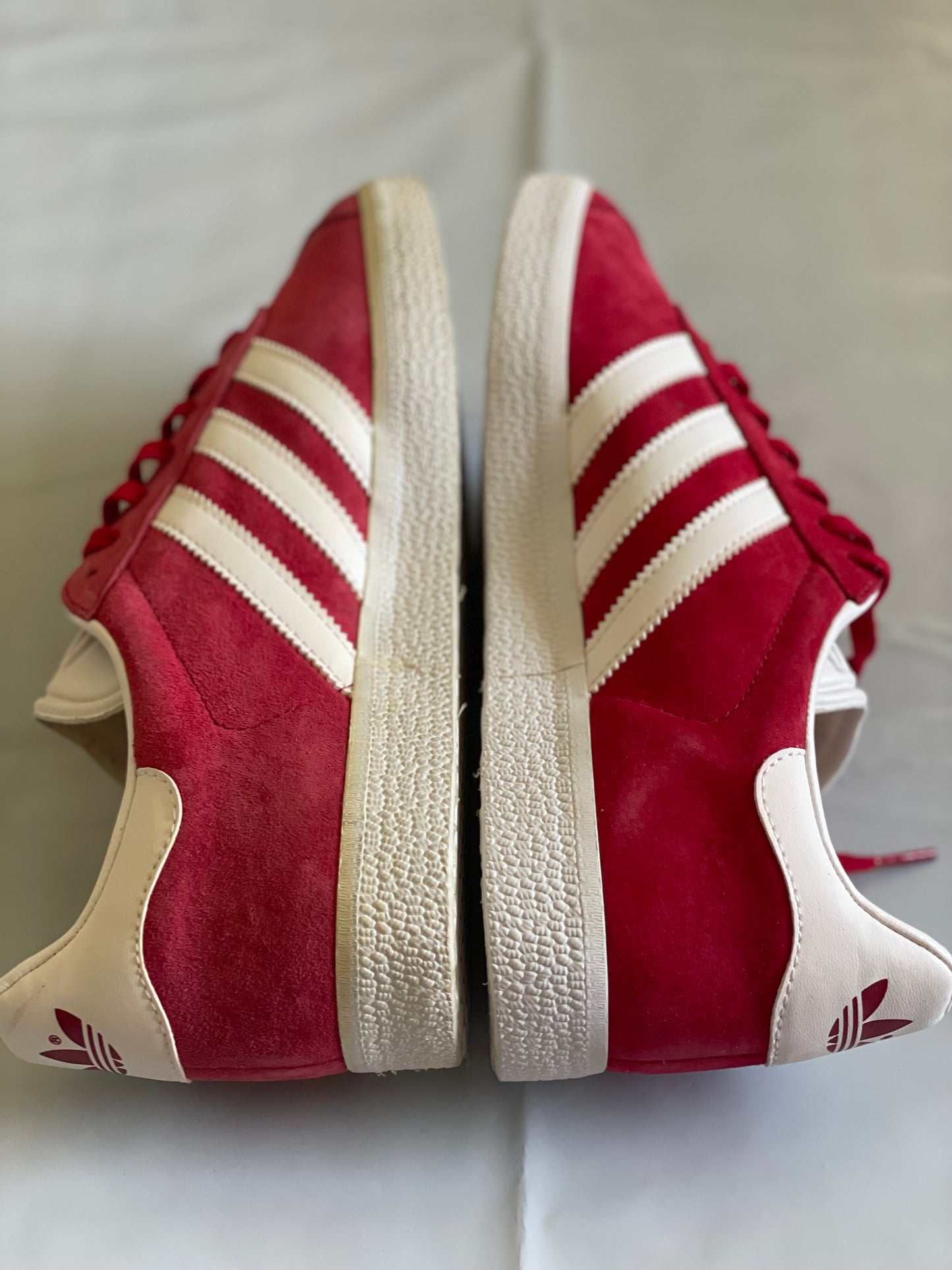 Gazelle red/wht DISPLAY