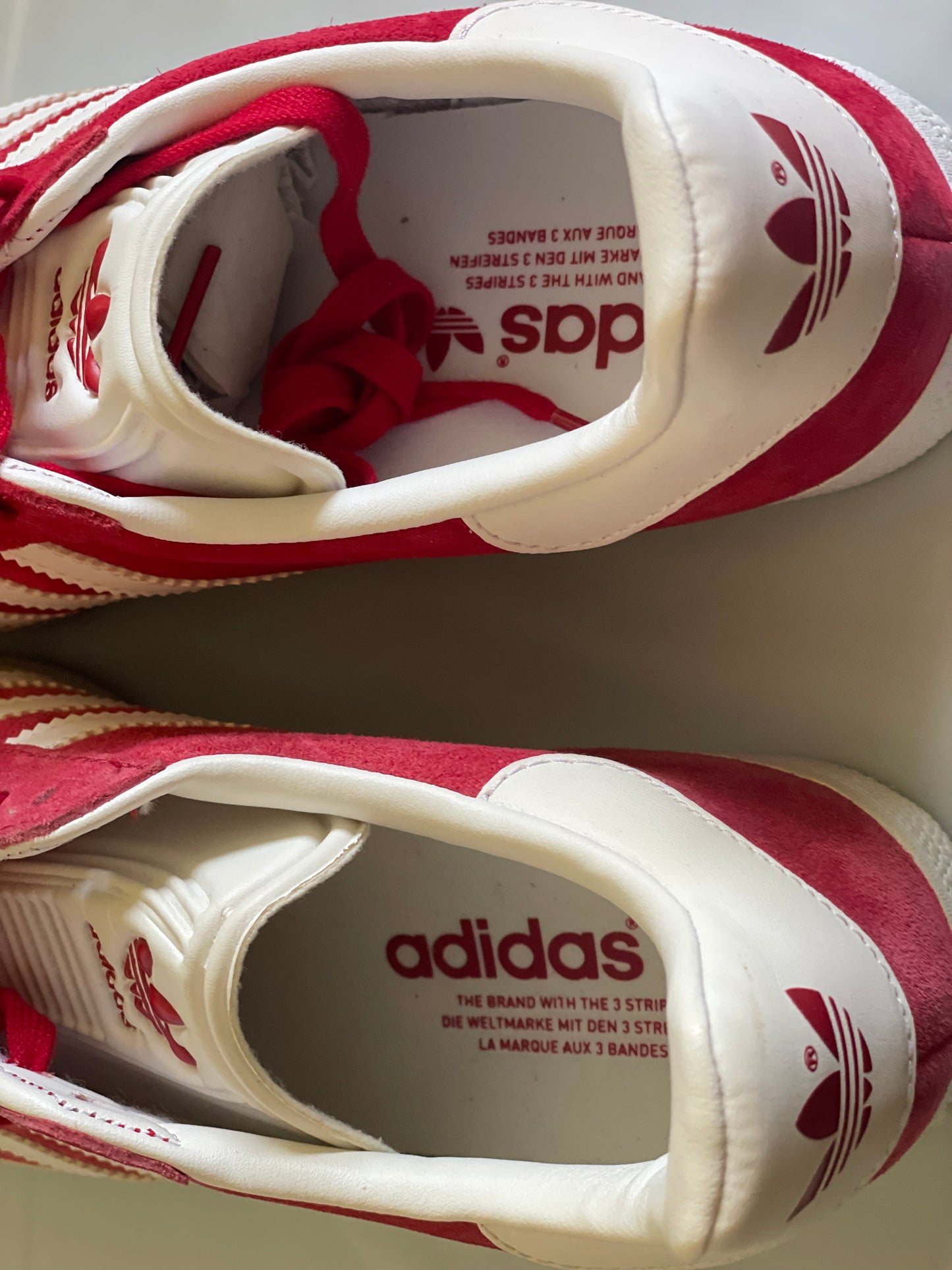 Gazelle red/wht DISPLAY