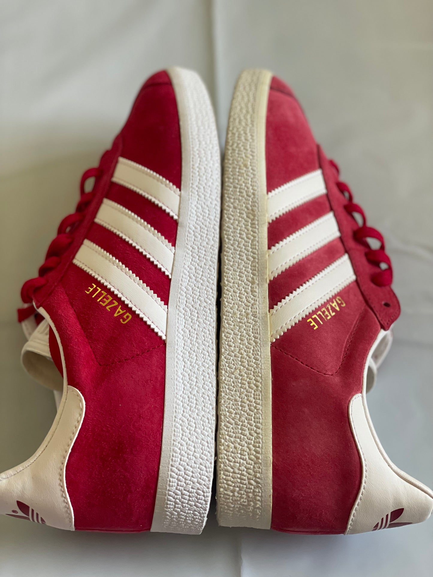 Gazelle red/wht DISPLAY