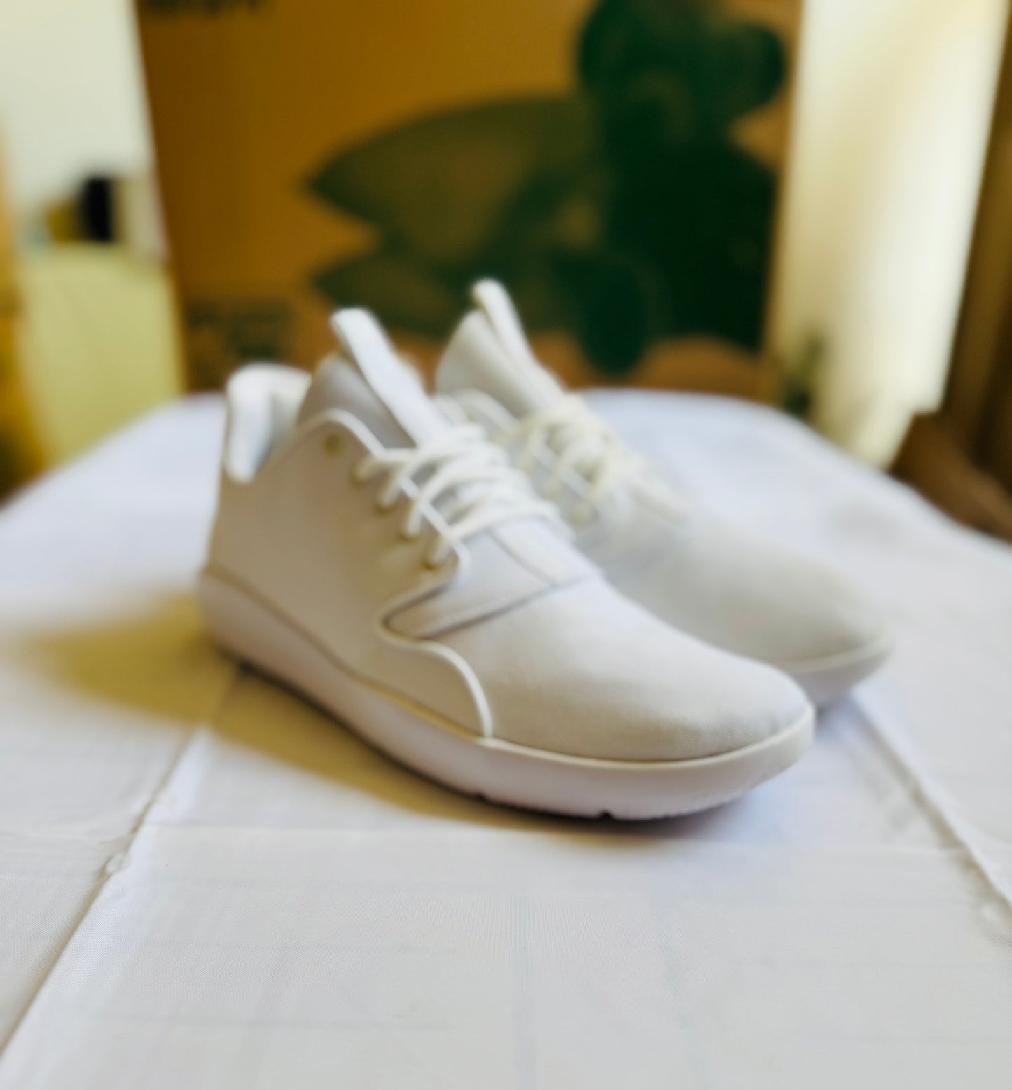 Air Jordan Eclipse triple white