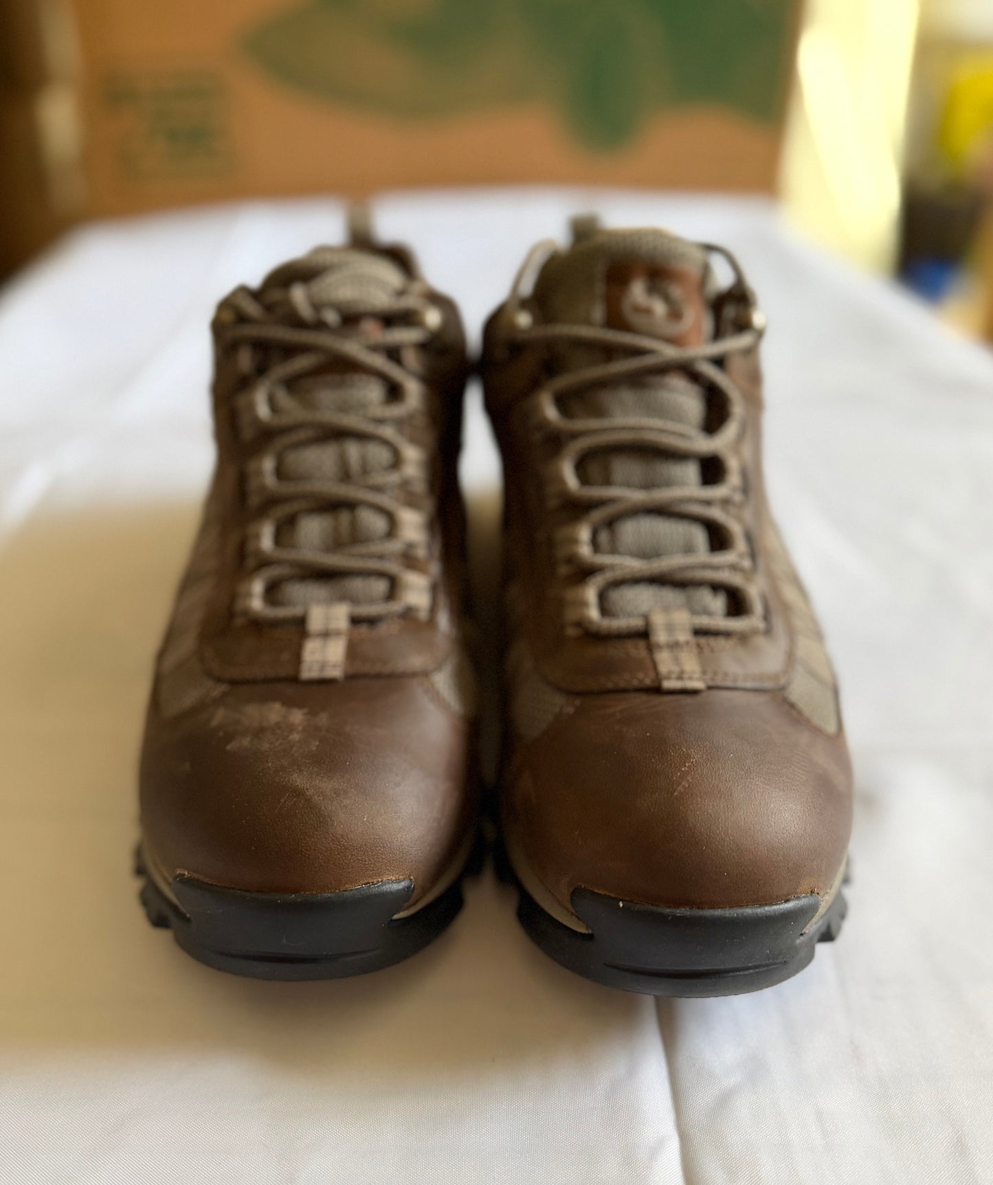Mt Maddsen WP Low Hiker
