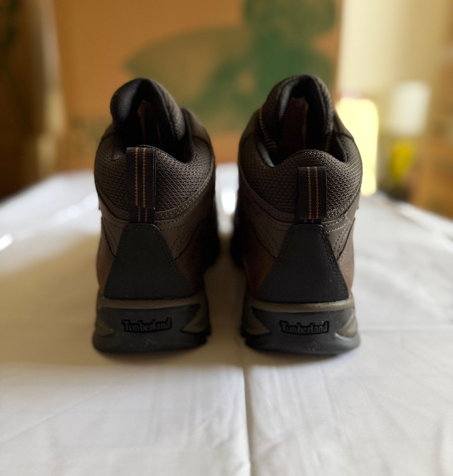 Mt Maddsen WP Mid Hiker