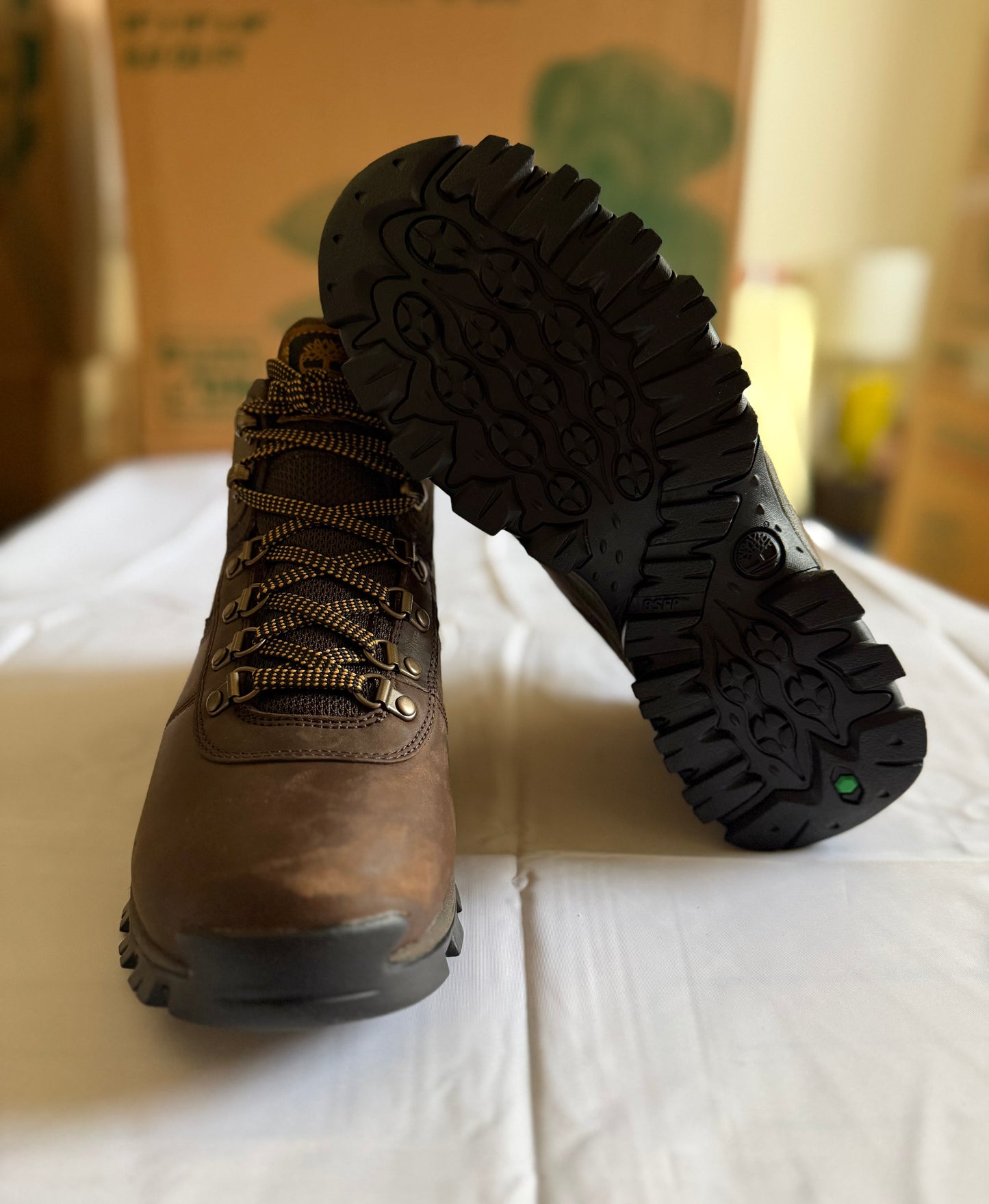 Mt Maddsen WP Mid Hiker