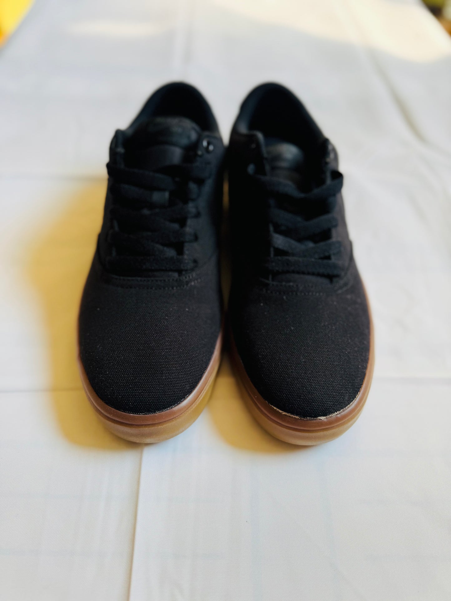 SB Check Solar Canvas