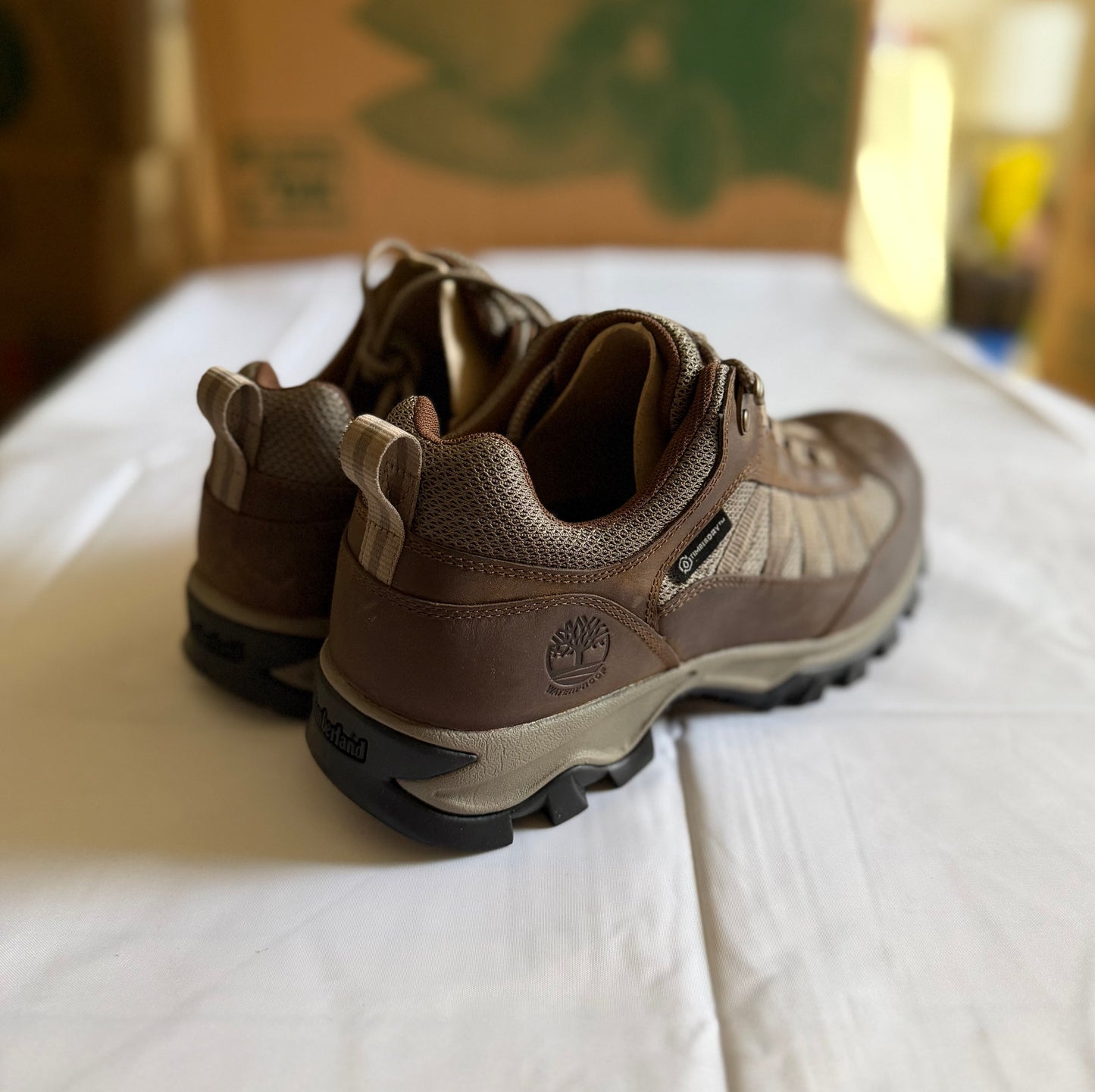 Mt Maddsen WP Low Hiker