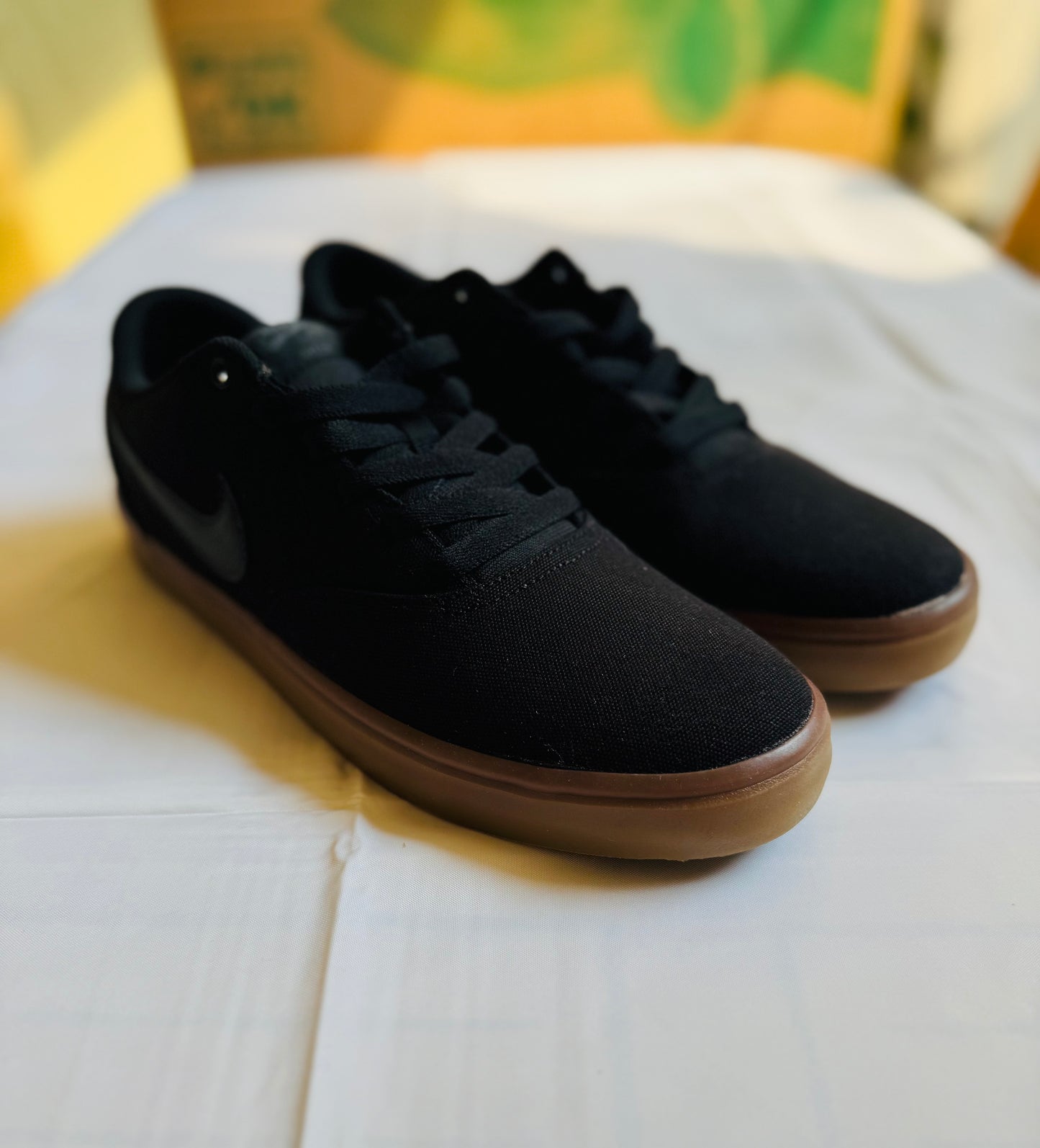 SB Check Solar Canvas
