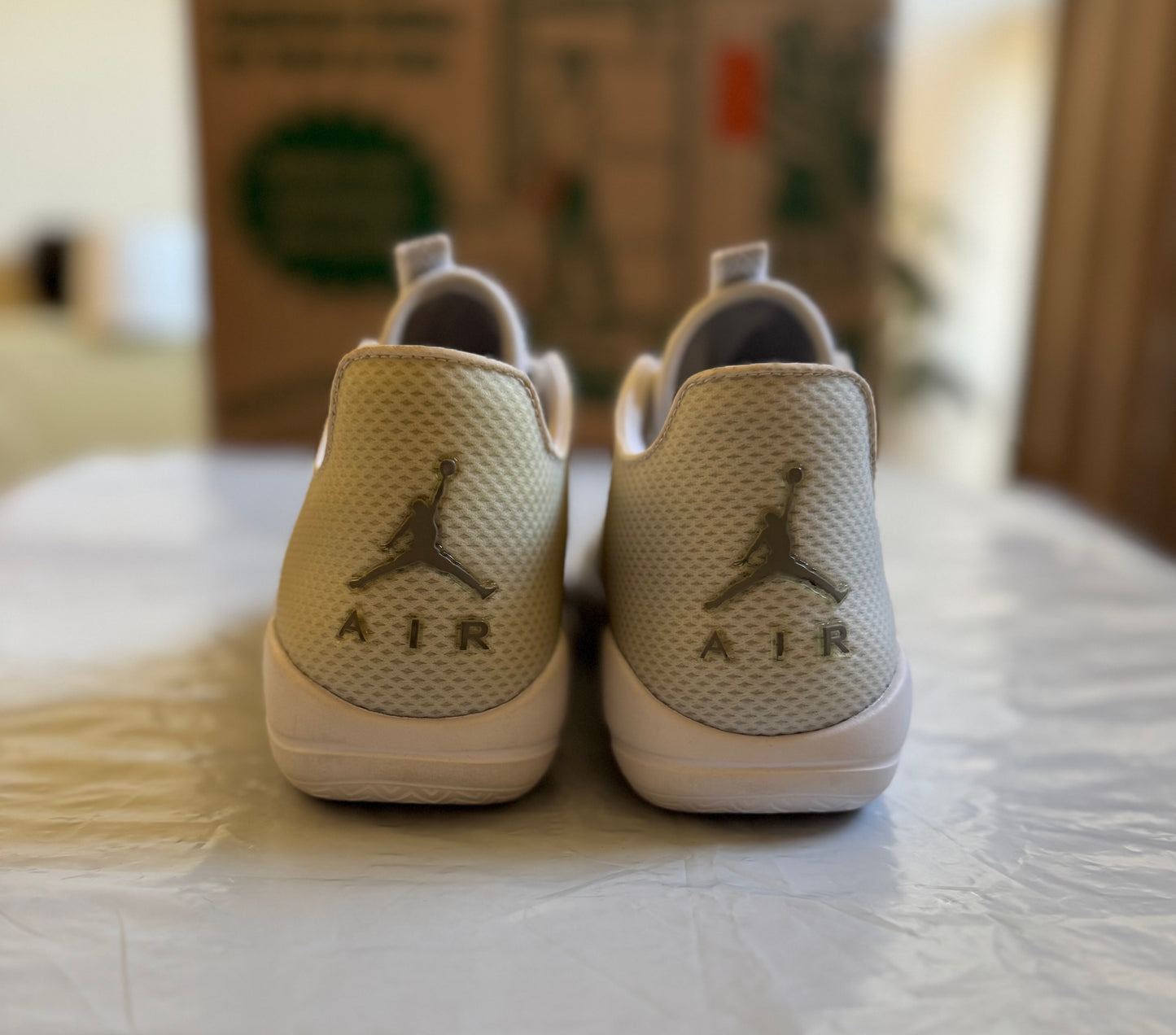 Air Jordan Eclipse pure platinum