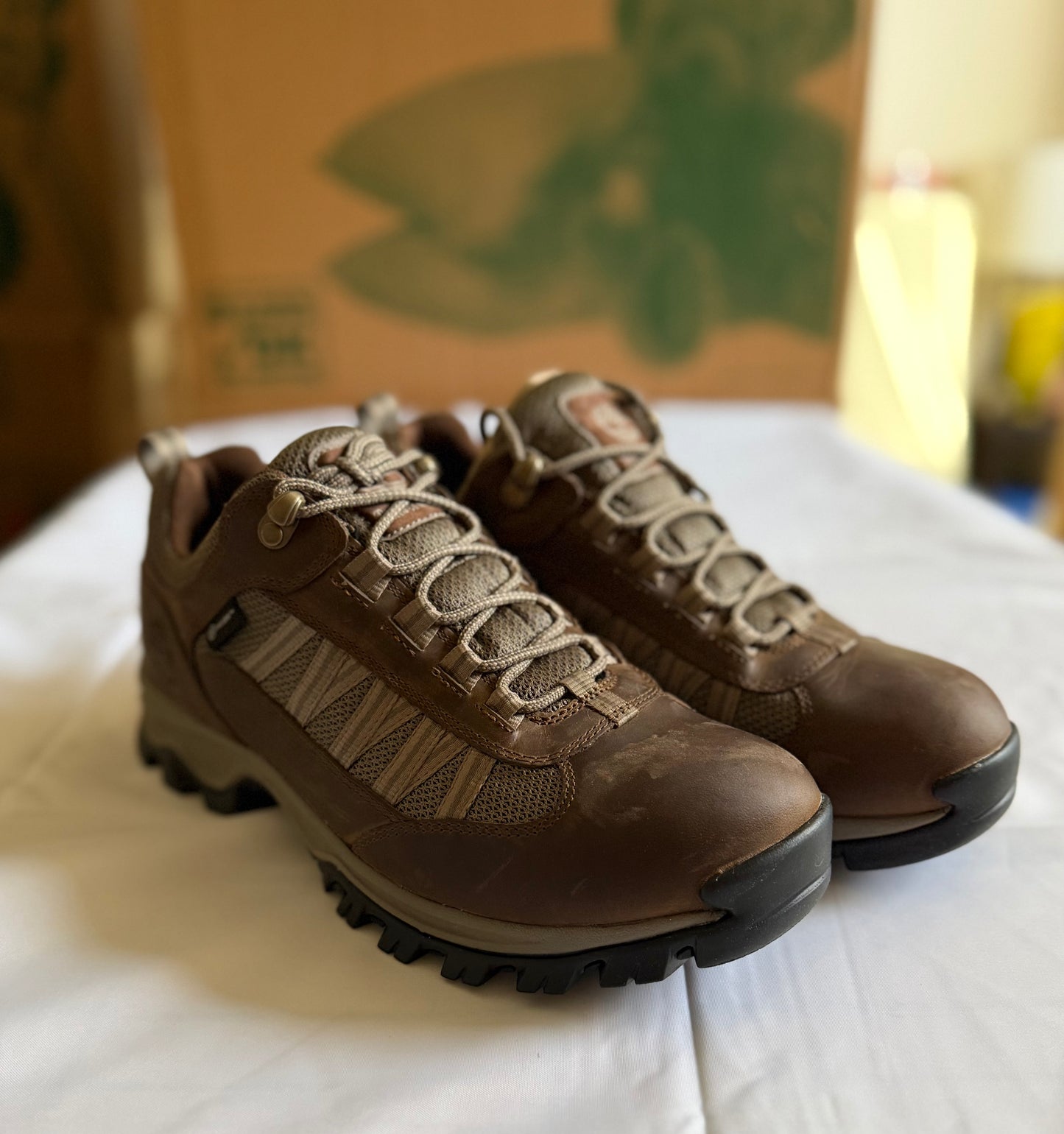 Mt Maddsen WP Low Hiker