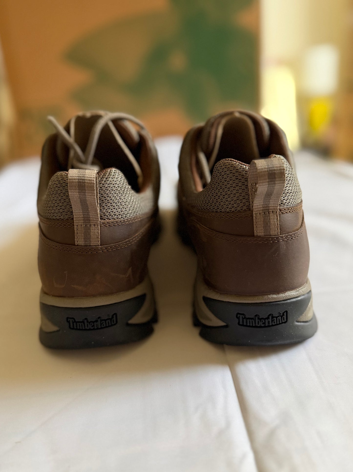 Mt Maddsen WP Low Hiker