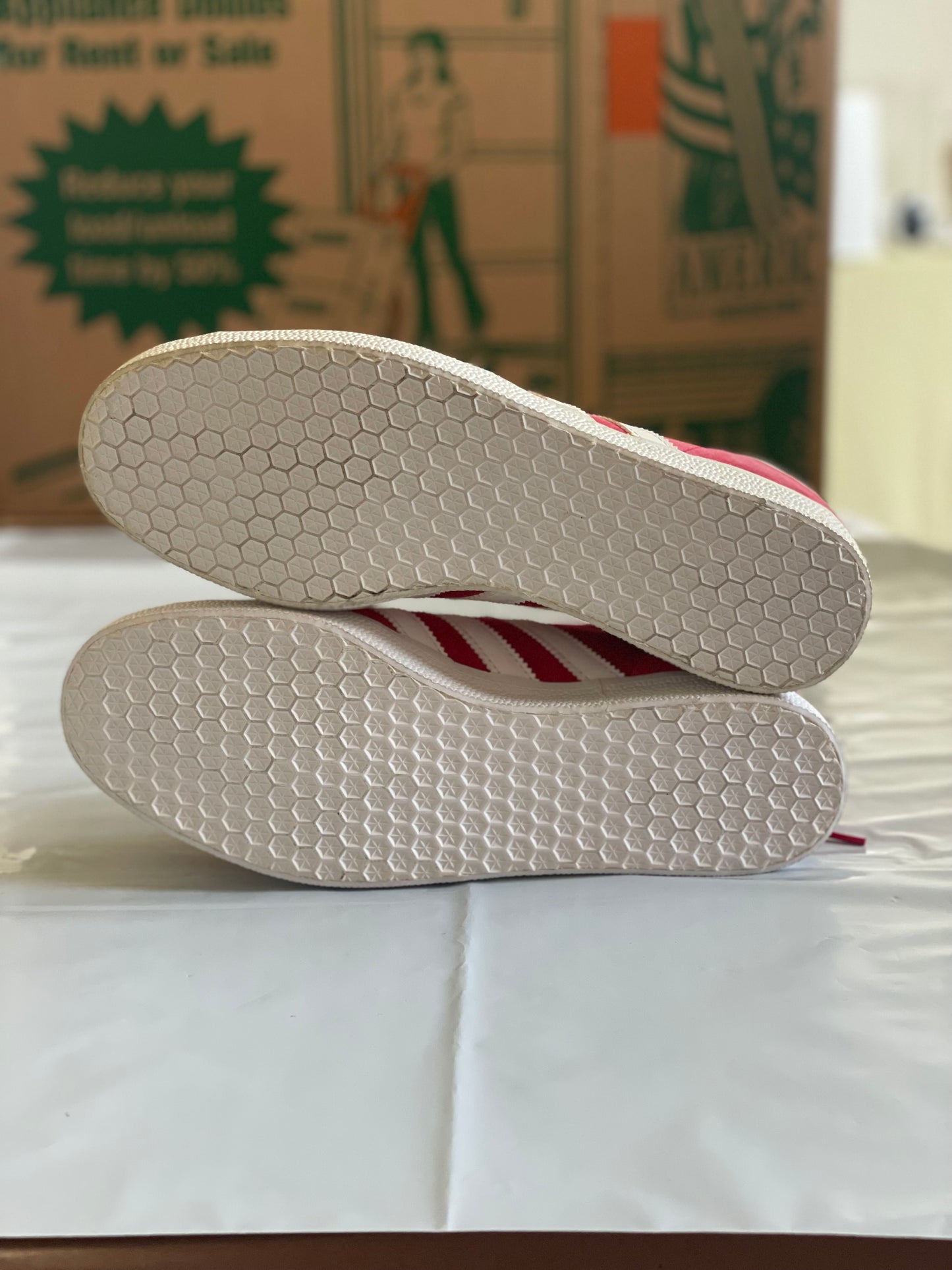 Gazelle red/wht DISPLAY