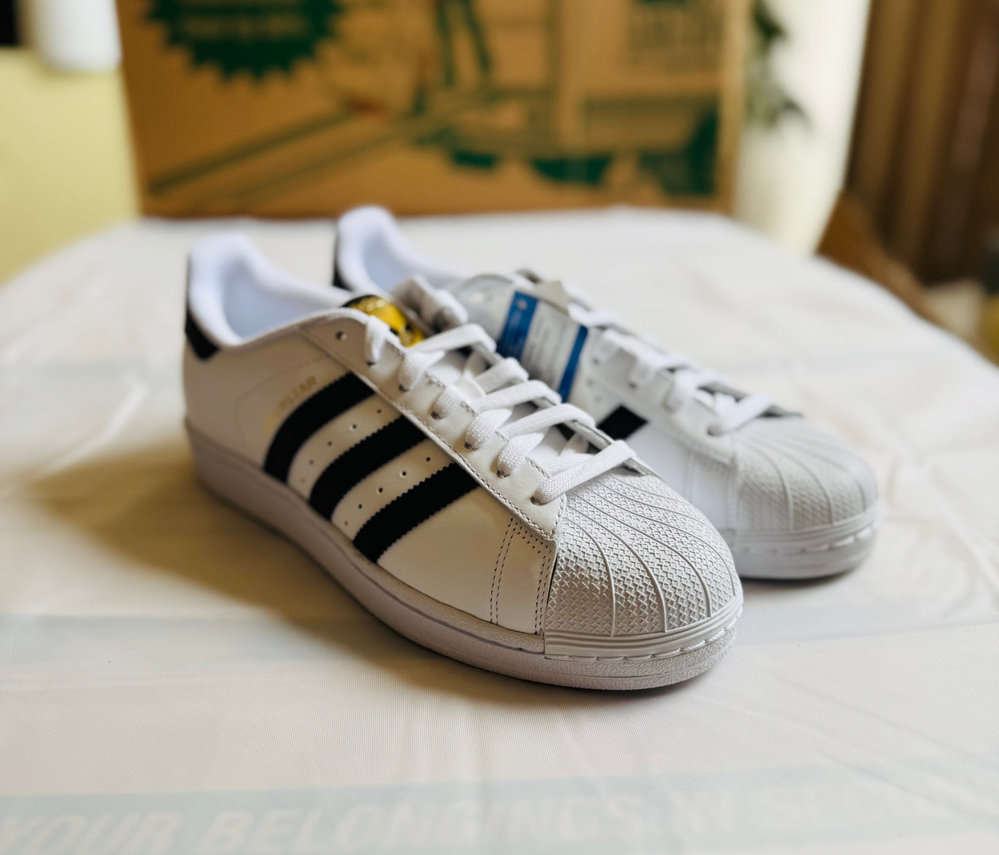 Superstar Men Cloud White/Core Black
