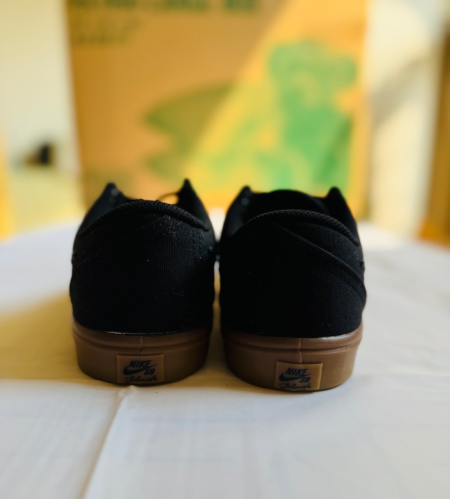 SB Check Solar Canvas