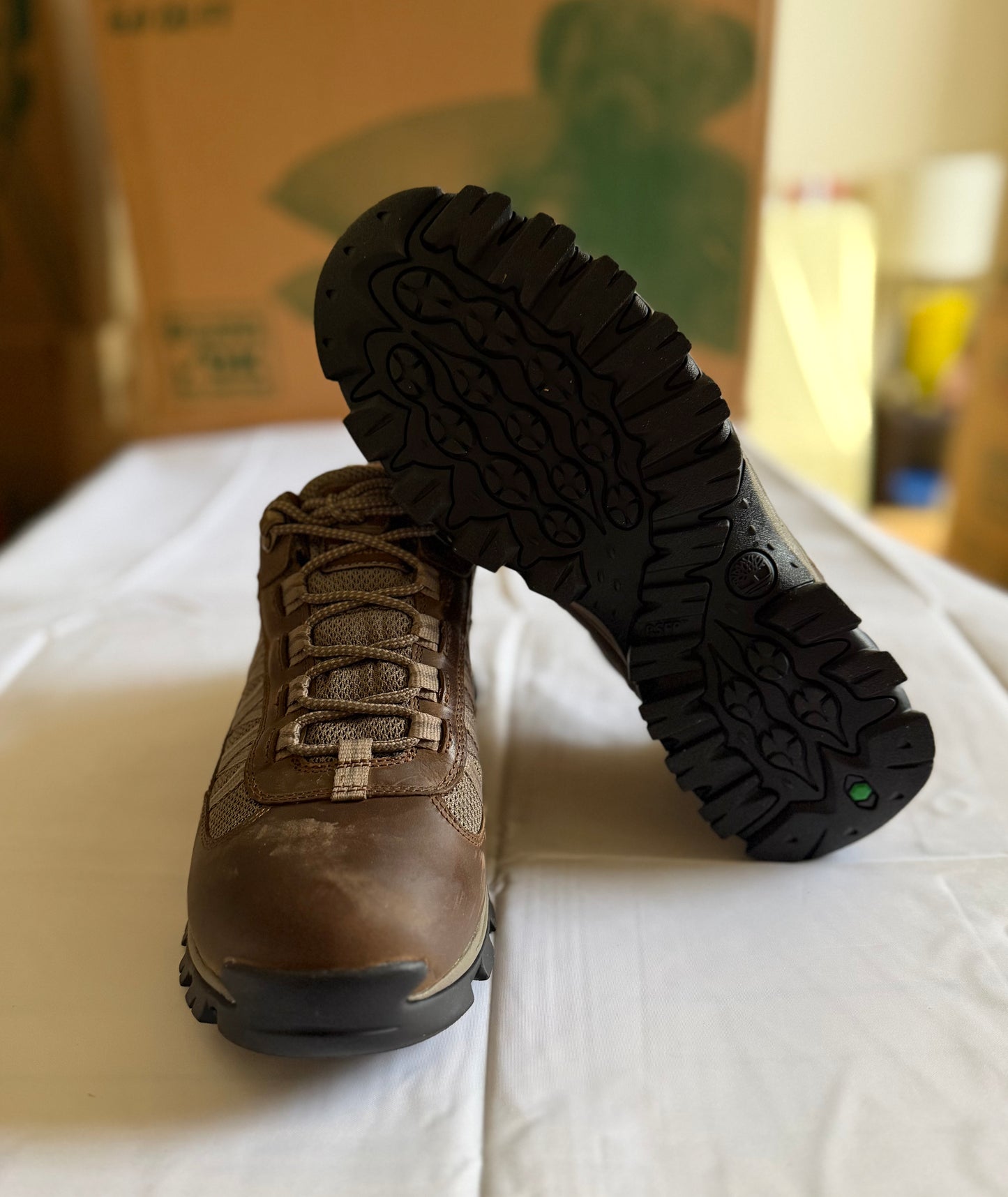 Mt Maddsen WP Low Hiker
