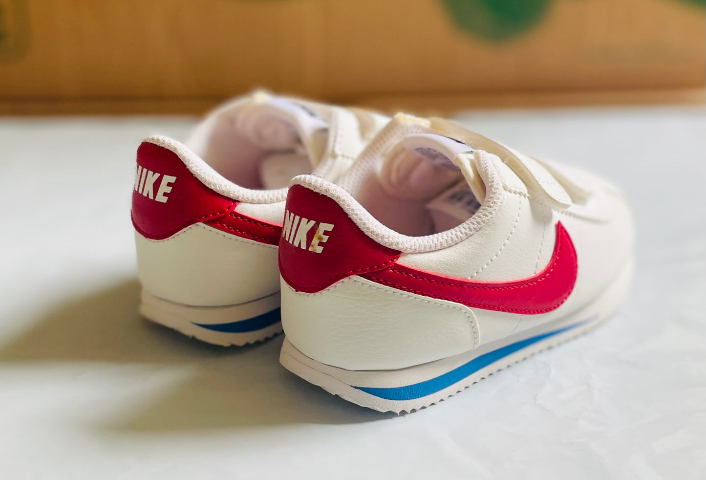 Cortez Basic SL (PSV) v red