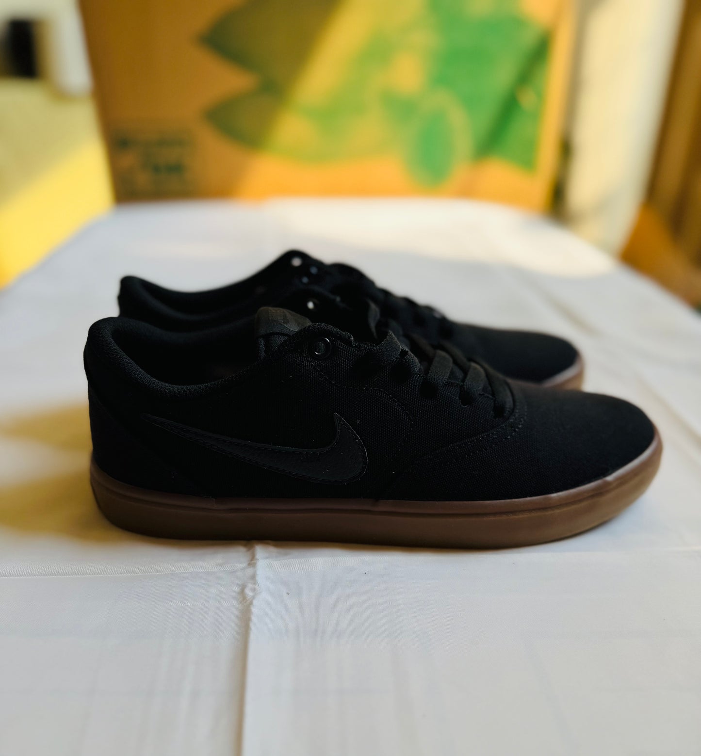 SB Check Solar Canvas