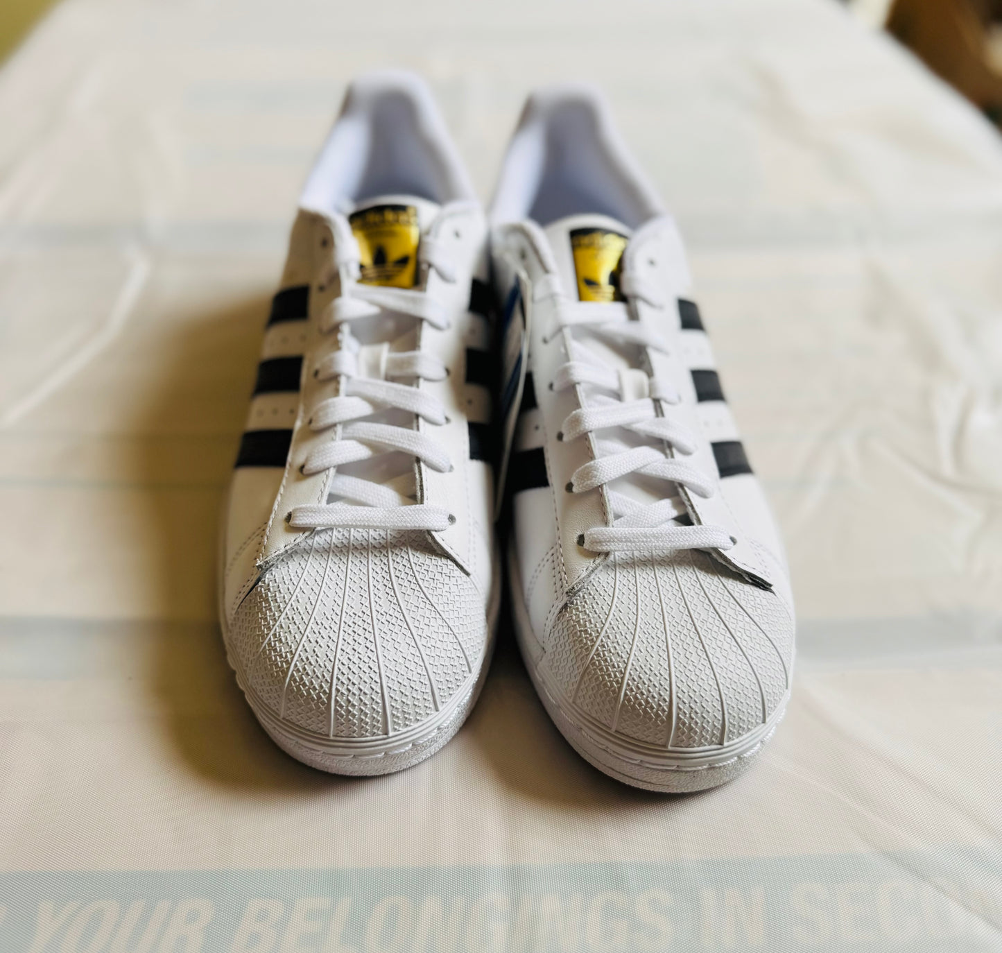 Superstar Men Cloud White/Core Black