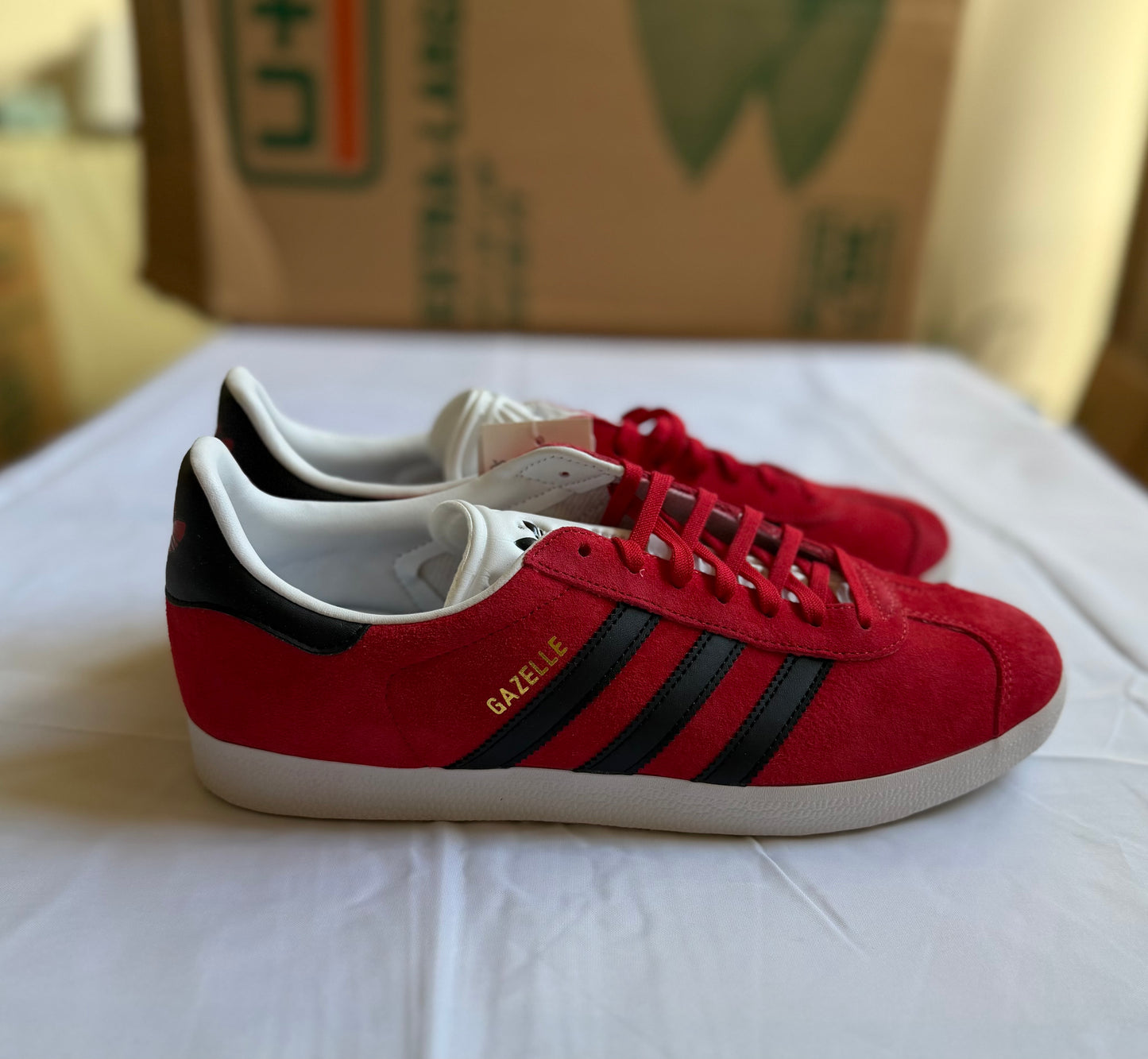 Gazelle Red w/ black