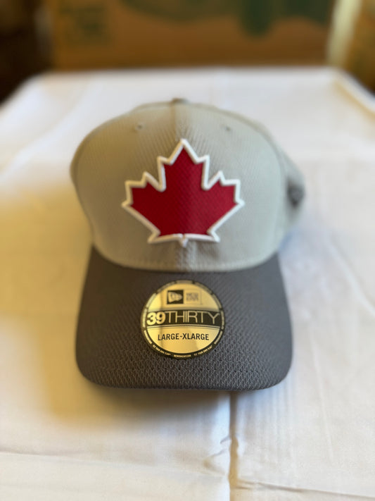 New Era 39Thirty Toronto BlueJays hat