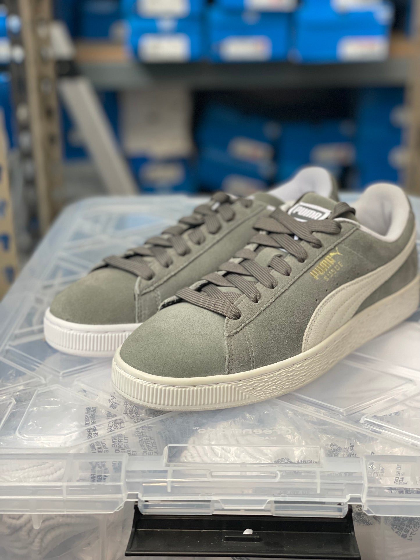 Suede Classic gray