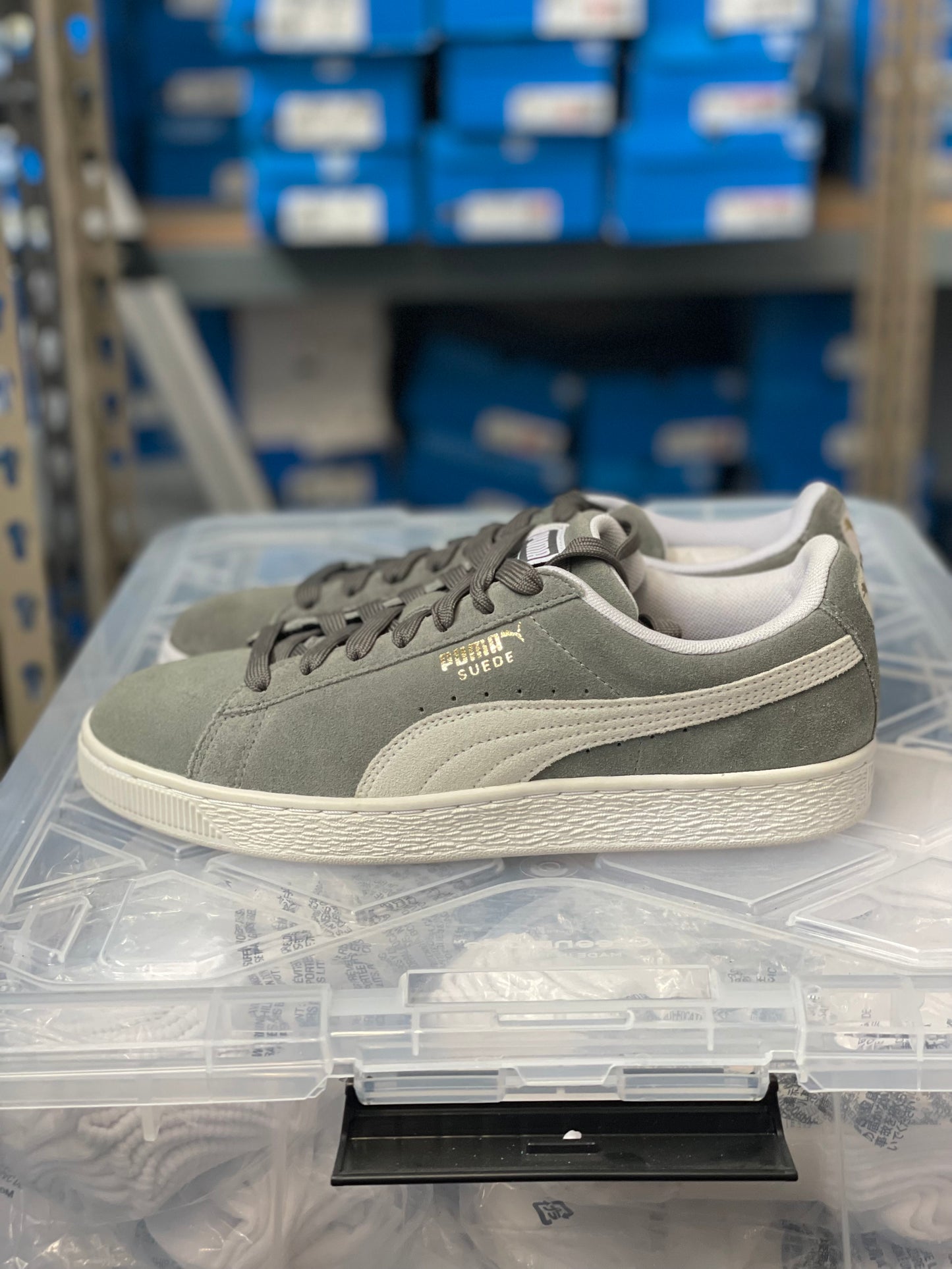 Suede Classic gray