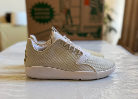 Air Jordan Eclipse pure platinum